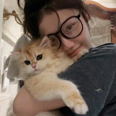 不十分好莱坞